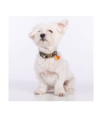 Groc Groc Lucky Vert Camouflage Collier pour Chien-M 3