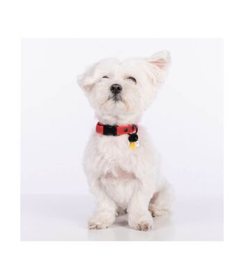 Collier pour chien Groc Groc Lucky Reflexive Red-S 2