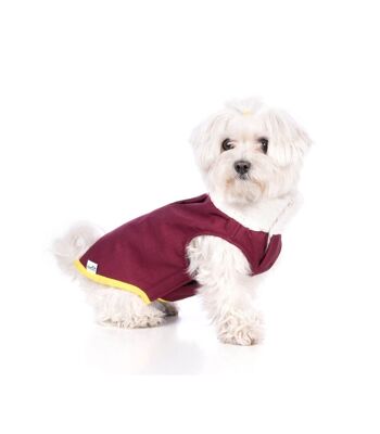 Groc Manteau imperméable pour chien Groc Taiga Softshell Bordeaux-S 1