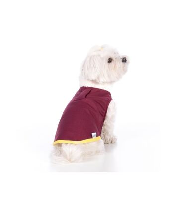 Groc Manteau imperméable pour chien Groc Taiga Softshell Bordeaux-S 2