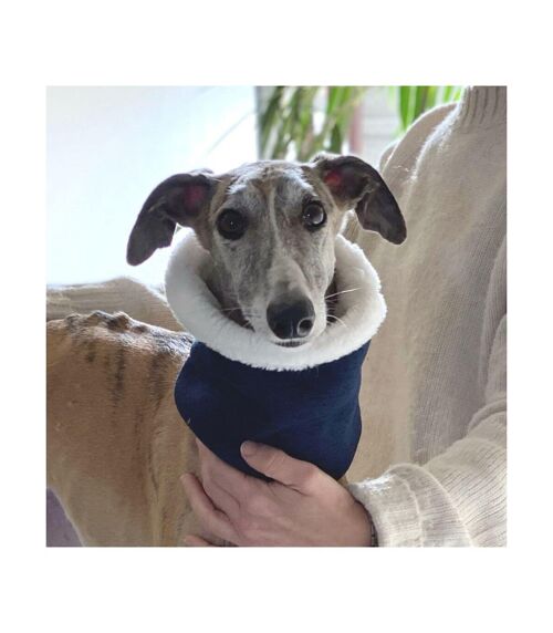 Cuello Bufanda Groc Groc Uoamy Reversible Marino-L