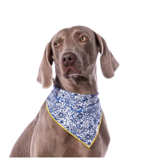 Bandana Pañuelo para perro Groc Groc Lara Azul Flores-S