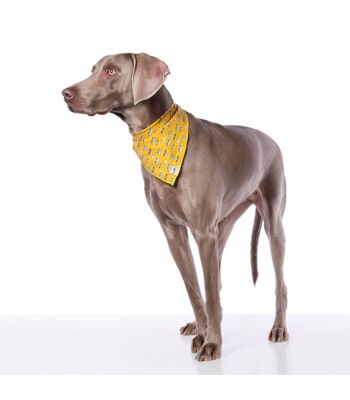 Bandana Bandana pour chien Groc Groc Lara Moutarde Cars-S 2