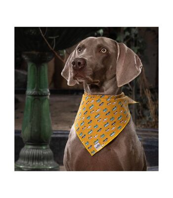 Bandana Bandana pour chien Groc Groc Lara Moutarde Cars-L 2