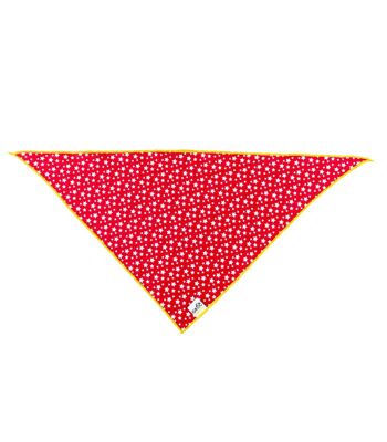 Bandana Echarpe pour chien Groc Groc Lara Red Stars-S 3