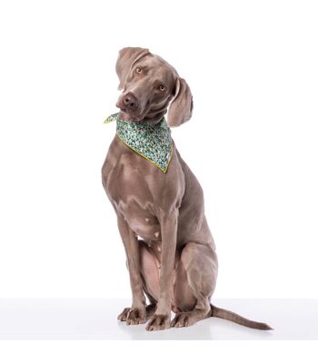 Bandana Dog Bandana Groc Groc Lara Vert Camouflage-L 1