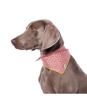 Bandana Écharpe pour chien Groc Groc Lara Rosa Liberté-S 2