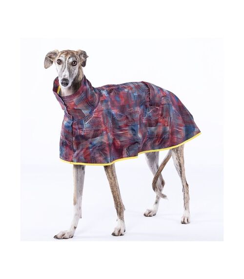 Capa de lluvia para Whippet Galgo Piccolo Groc Groc Aldo Multicolor-G2