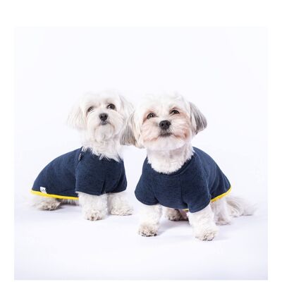 Pull Marin royal blue dog sweater-XS