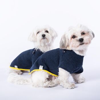 Pull pour chien Pull Marin bleu royal-S 2