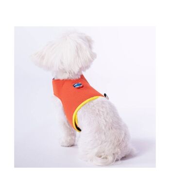 Groc Groc Yuki Harnais pour Chien Orange-M 2