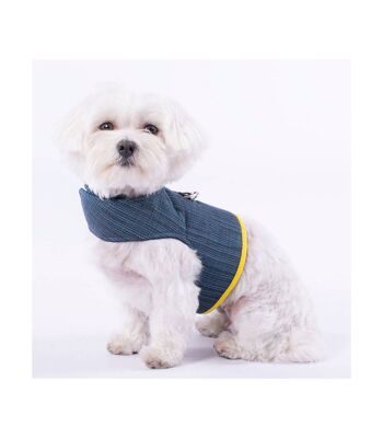 Groc Harnais pour Chien Groc Yuki Gris Bleu-S 1