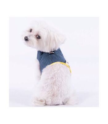 Groc Harnais pour Chien Groc Yuki Gris Bleu-S 2