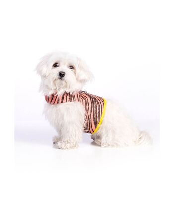 Groc Harnais pour chien Groc Yuki Rose Softshell-S 1