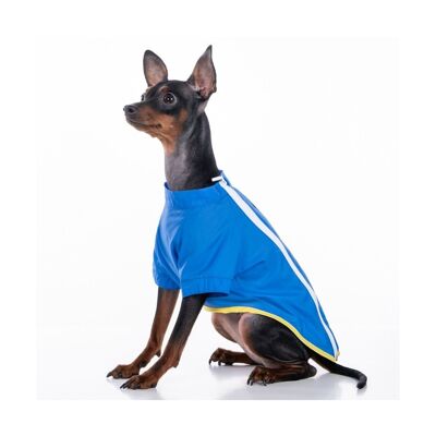 Kangaroo for dog Electric Blue Groc Groc Samstag Rain-XS