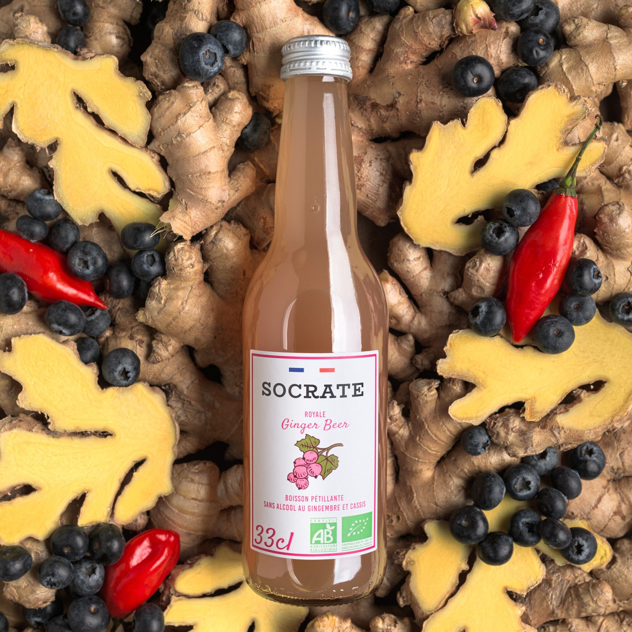 Royal Ginger Beer BIOLOGICA 33cl