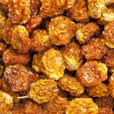 Organic Dried Raw Whole Goldenberry