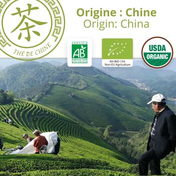 Thé vert bio de Chine - Sencha - Poche vrac - 150g 5