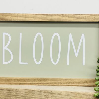 Bloom - Sage Green - White