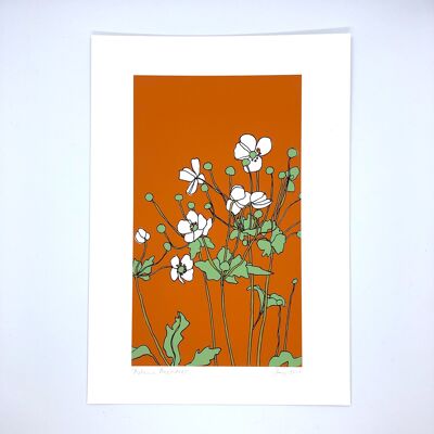 Autumn Anemones - A4 Print