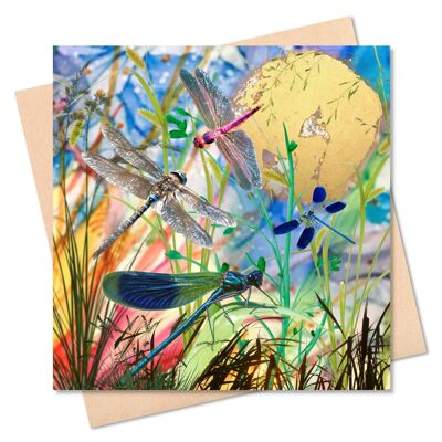 Dragonflies - Blank Card