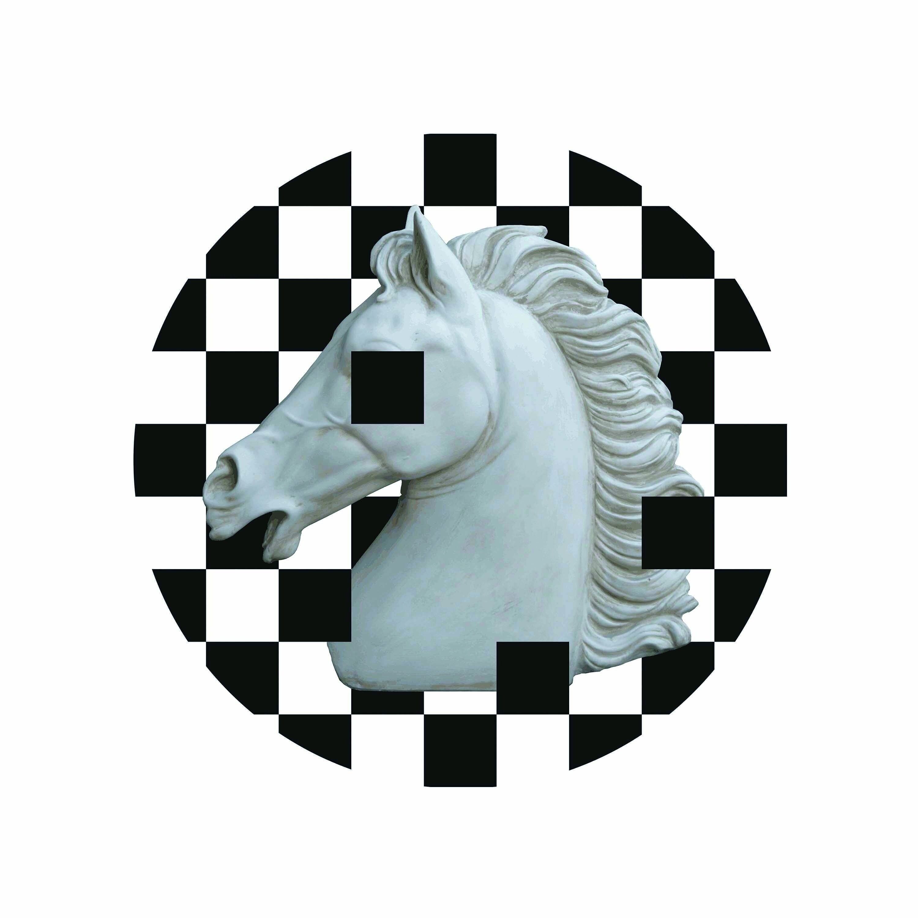 PITTURA 70X3X70 METACRILATO CERCHIO CAVALLO TH4402900