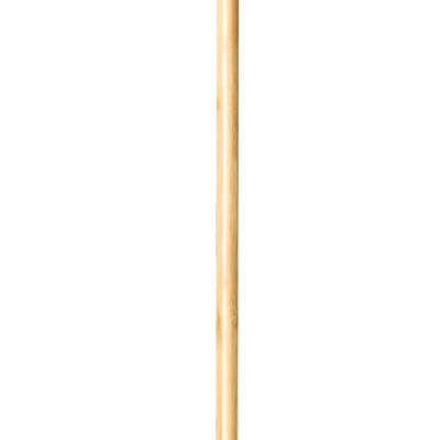 Florganic broom
