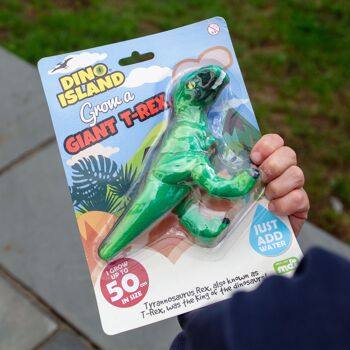 Cultivez un jouet T-Rex géant - Cadeaux de dinosaures pour les enfants 1