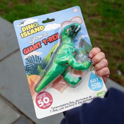 Fai crescere un giocattolo T-Rex gigante - Regali di dinosauri per bambini
