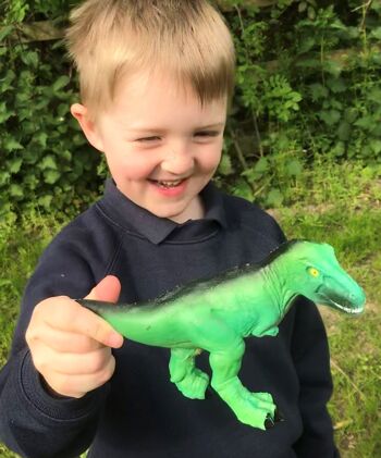 Cultivez un jouet T-Rex géant - Cadeaux de dinosaures pour les enfants 6