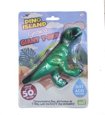 Cultivez un jouet T-Rex géant - Cadeaux de dinosaures pour les enfants 8