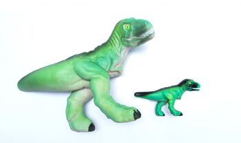 Cultivez un jouet T-Rex géant - Cadeaux de dinosaures pour les enfants 9