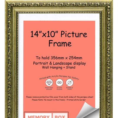 Ornate Shabby Chic Picture/Photo/Poster frame with Perspex Sheet - (35.6 x 25.4cm) Champagne 14" x 10"