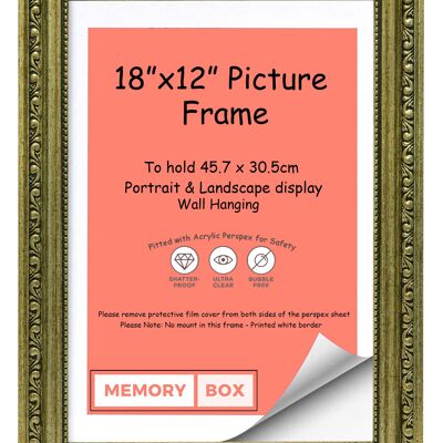 Ornate Shabby Chic Picture/Photo/Poster frame with Perspex Sheet - (45.7 x 30.5cm) Champagne 18" x 12"