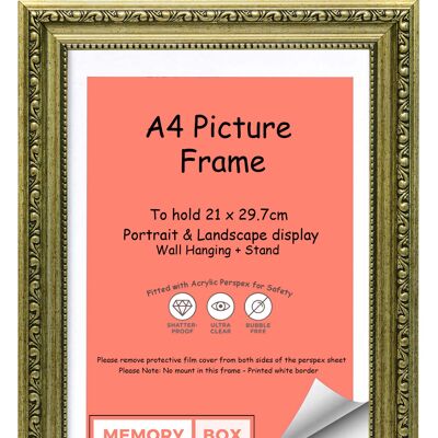 Ornate Shabby Chic Picture/Photo/Poster frame with Perspex Sheet - Champagne A4