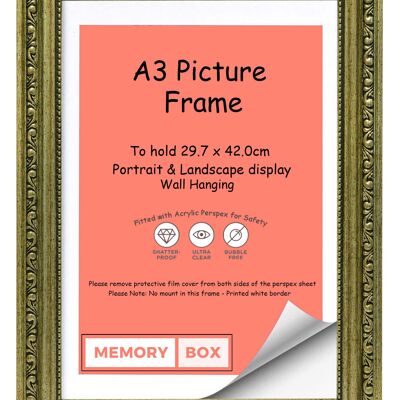 Ornate Shabby Chic Picture/Photo/Poster frame with Perspex Sheet - Champagne A3