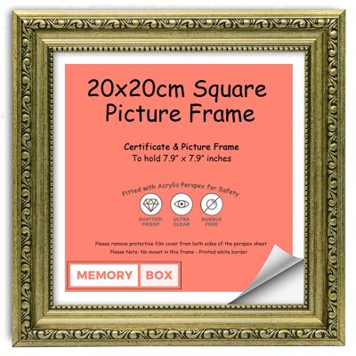 Ornate Shabby Chic Picture/Photo/Poster frame with Perspex Sheet - (20 x 20cm) Champagne