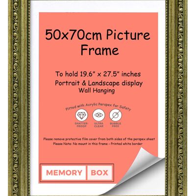 Ornate Shabby Chic Picture/Photo/Poster frame with Perspex Sheet - (50 x 70cm) Champagne 19.6" x 27.5"