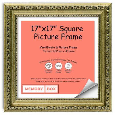 Ornate Shabby Chic Picture/Photo/Poster frame with Perspex Sheet - (43.2 x 43.2cm) Champagne 17" x 17"