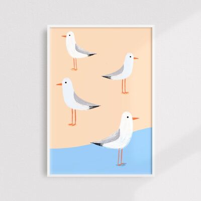 Seagulls print - A5