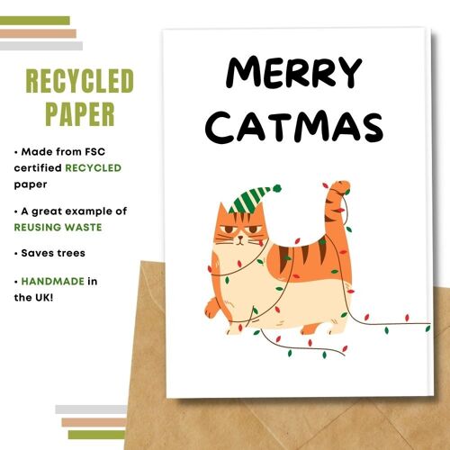Eco Christmas Card, Catmas Pack Of 8