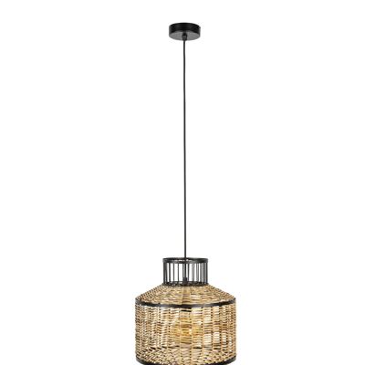 Nancy's Collegedale Pendant Lamp