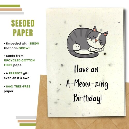 Happy Birthday Card, A-mew-zing Birthday Pack Of 8