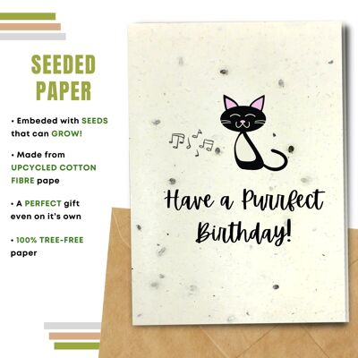Happy Birthday Card, Black Cat Pack Of 8