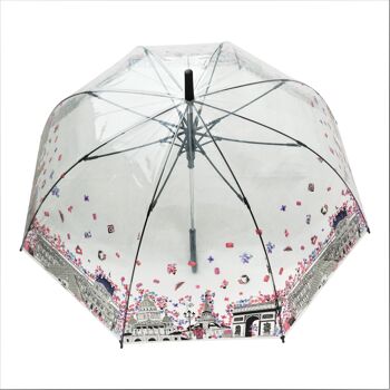 Parapluie - Paris In Bloom Transparent, Regenschirm, Parapluie, Paraguas 2