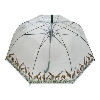 Parapluie - Imprimé Girafes Transparent, Regenschirm, Parapluie, Paraguas 2