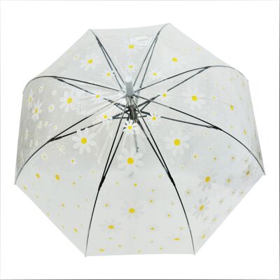 Paraguas - Daisy Print Clear Straight, Regenschirm, Parapluie, Paraguas