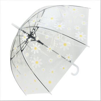 Parapluie - Daisy Print Clear Straight, Regenschirm, Parapluie, Paraguas 2