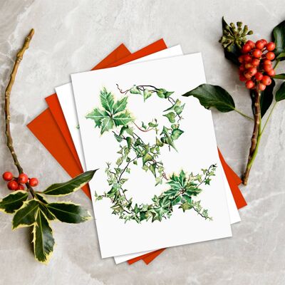 Paquets de cartes de Noël Holly & The Ivy