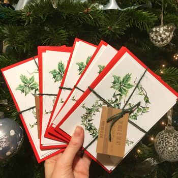 Paquets de cartes de Noël Holly & The Ivy 2